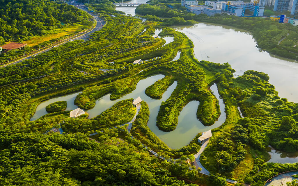 Contenção das águas do Sanya Mangrove Park para ilustrar o conceito de cidades esponja